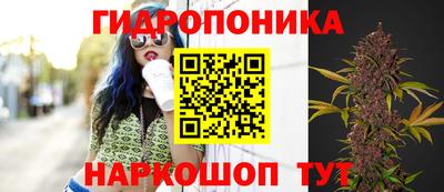 mdpv Владивосток
