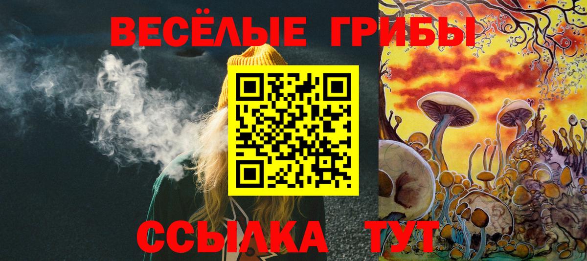 Галлюциногенные грибы Psilocybe  купить наркотики сайты  Бор  Вход с VPN  Галлюциногенные грибы прущие грибы 